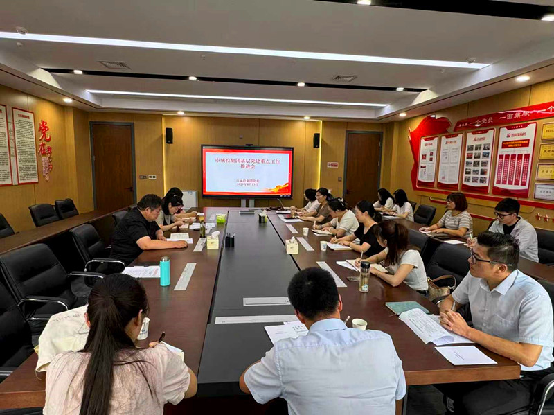 市城投集團(tuán)召開基層黨建重點工作推進(jìn)會